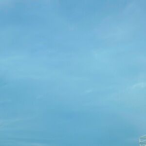 Meet your Posher, Alina